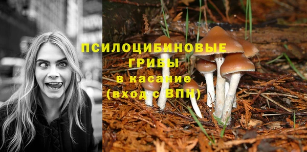 мяу мяу кристалл Богородицк