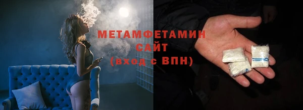 сатива Беломорск