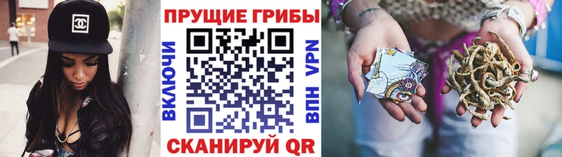 Псилоцибиновые грибы Psilocybe  Коряжма 