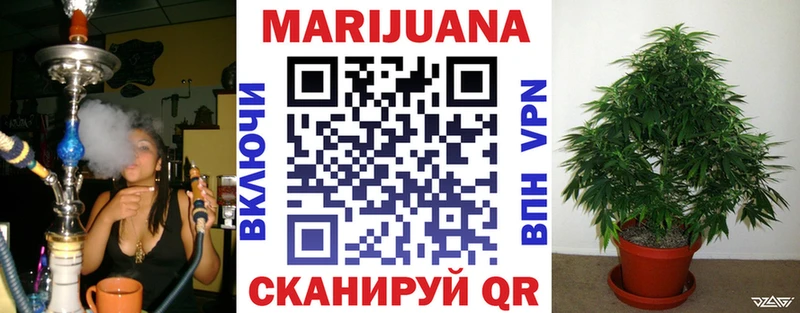 Бошки марихуана THC 21%  Коряжма 